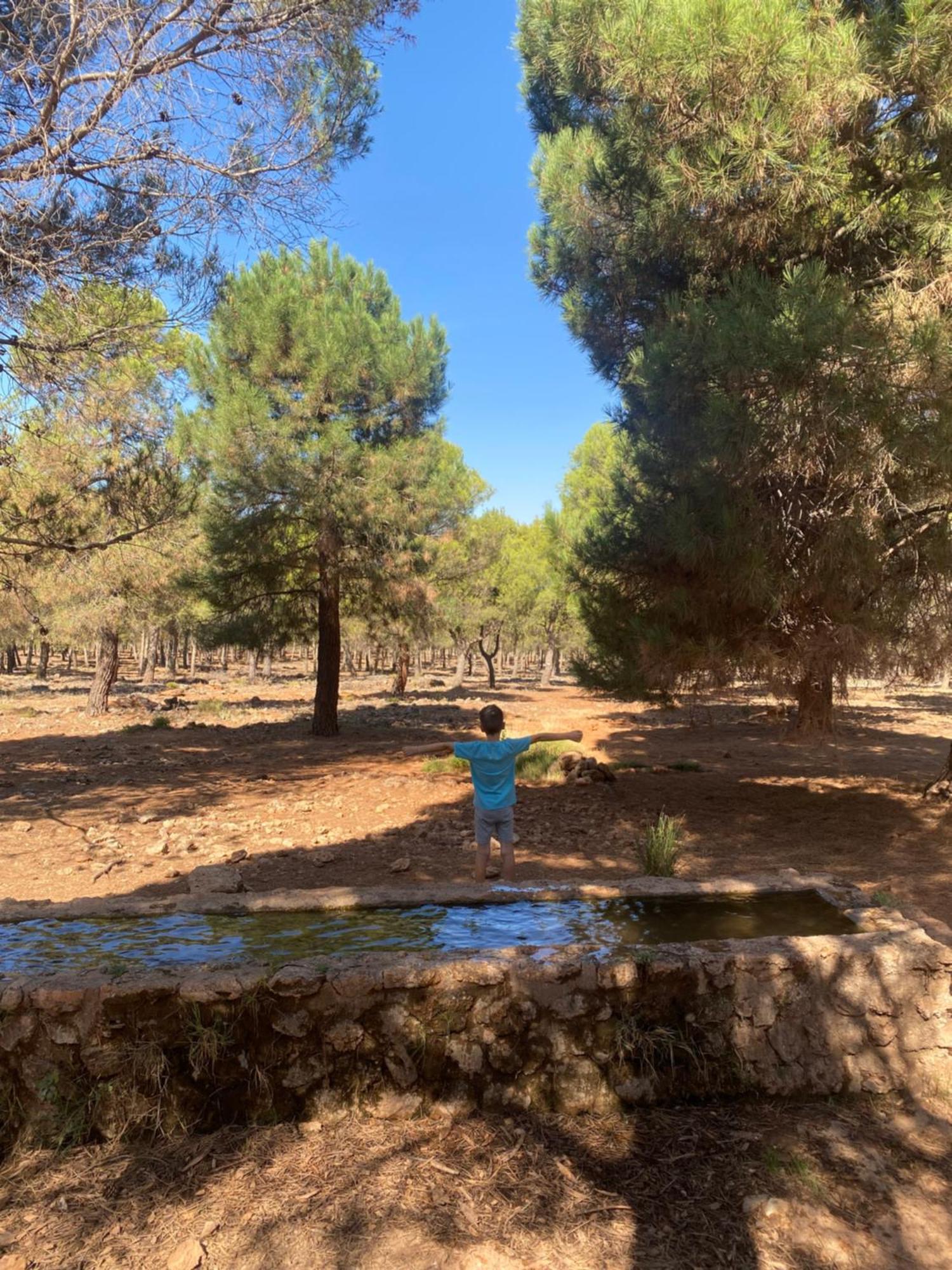 Appartamento Casita La Rosa de la Huerta con chimenea interior Monachil Esterno foto